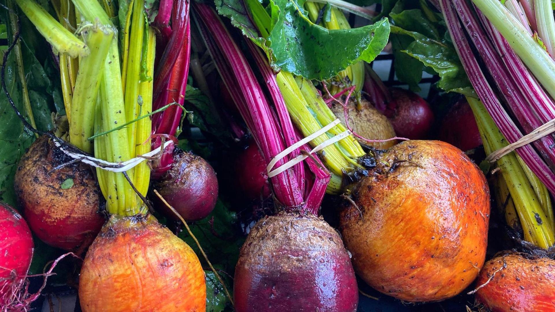 Sustainable Kirriemuir