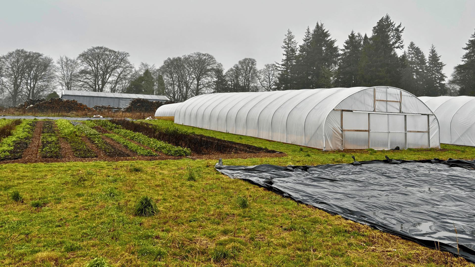 Sustainable Kirriemuir - Kinnordy