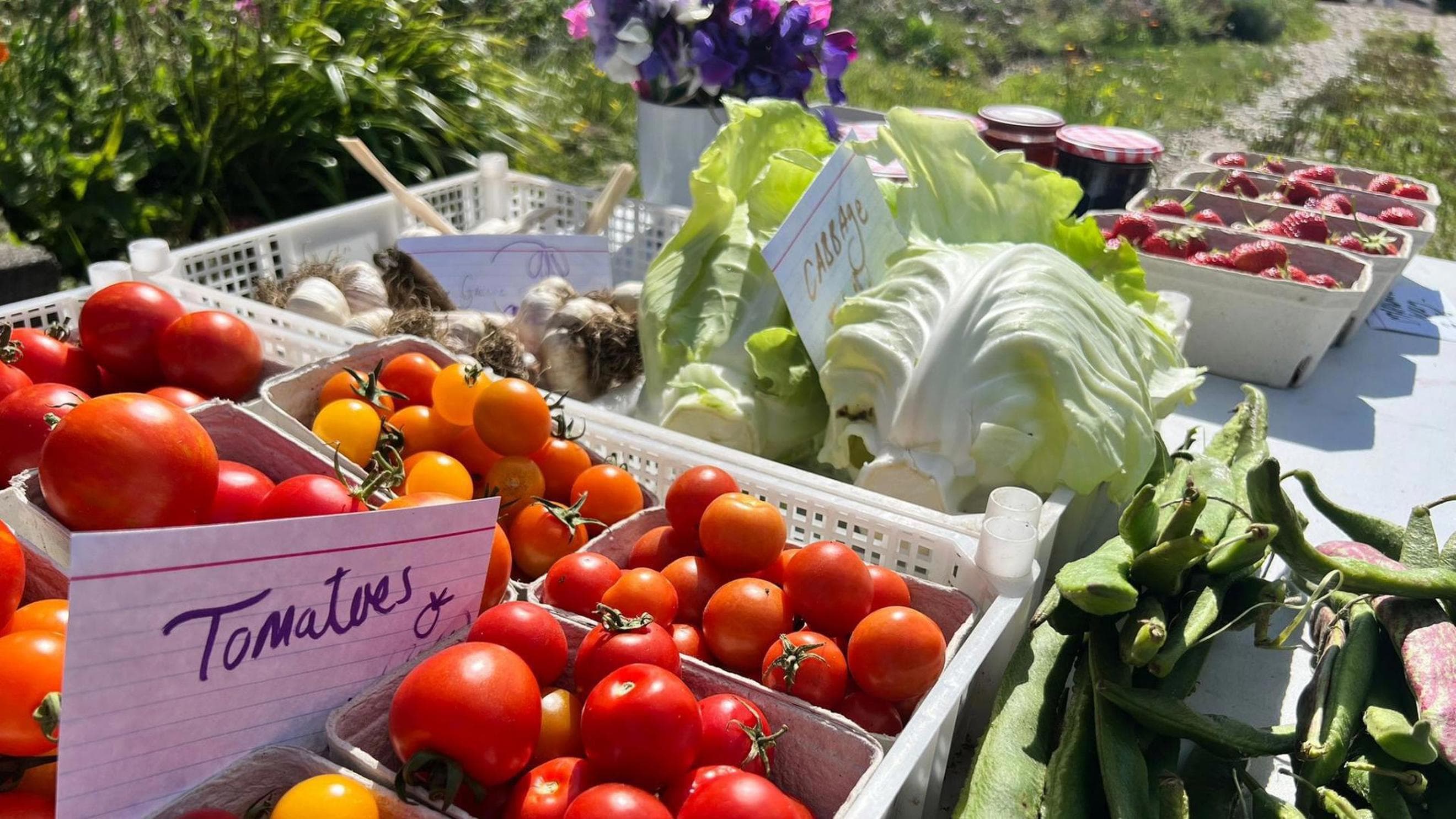 Standard Veg Share - Upfront (pay 2 x £200 before Jun)