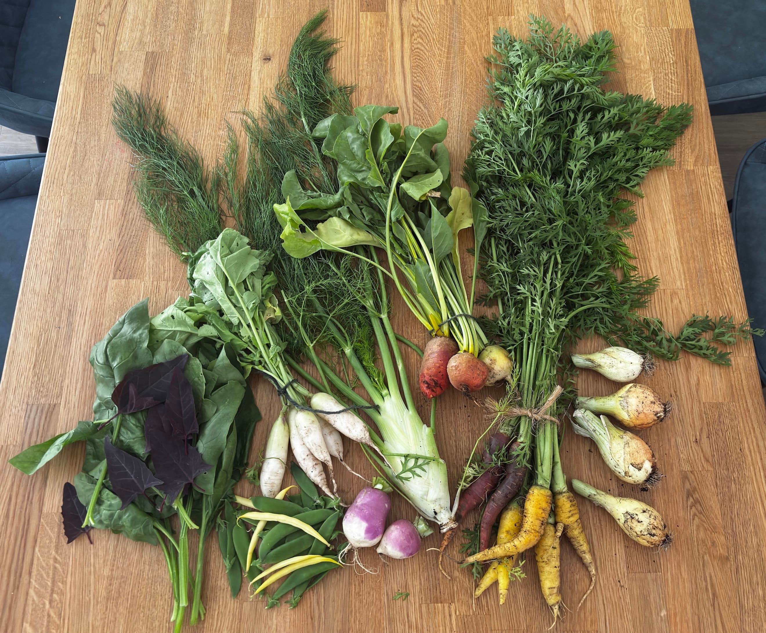 Standard Veg Share - Upfront (£300 single payment)